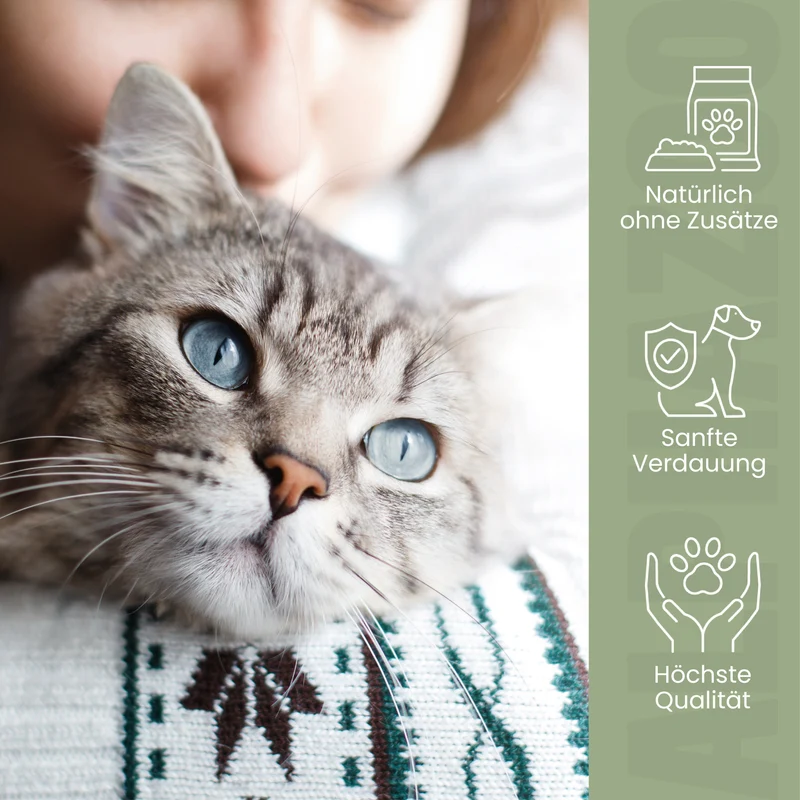 Flohsamenschalen für Katzen