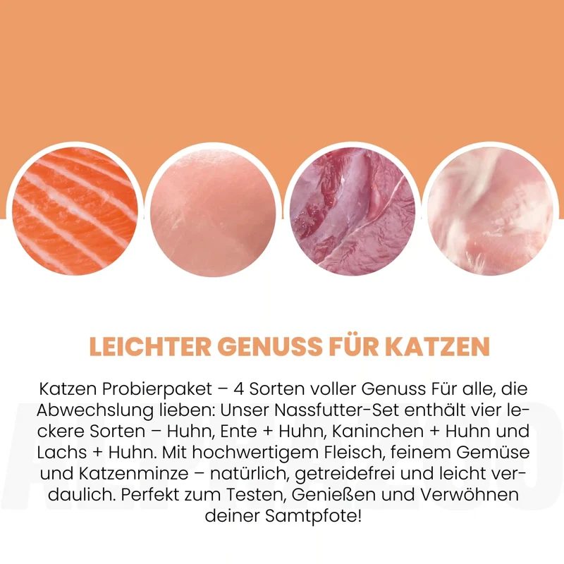 Probierschmaus Katze