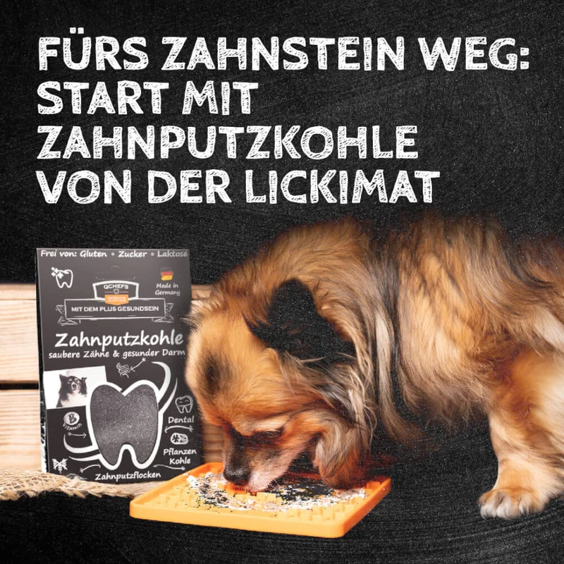 QCHEFS Zahnputzflips Hund