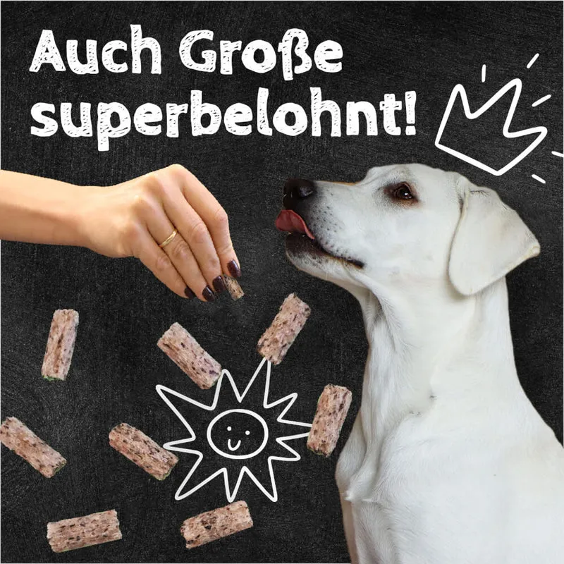 QCHEFS Zahnputzflips Hund