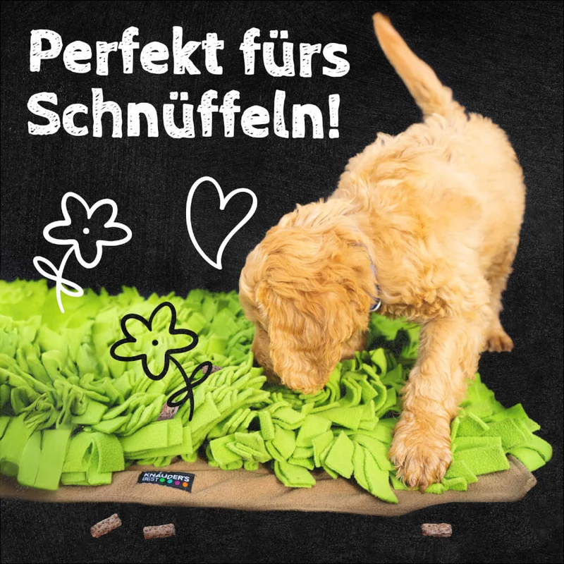 QCHEFS Zahnputzflips Hund