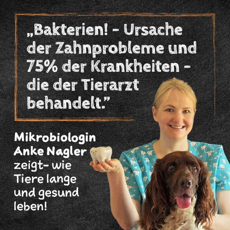 QCHEFS Zahnputzflips Hund