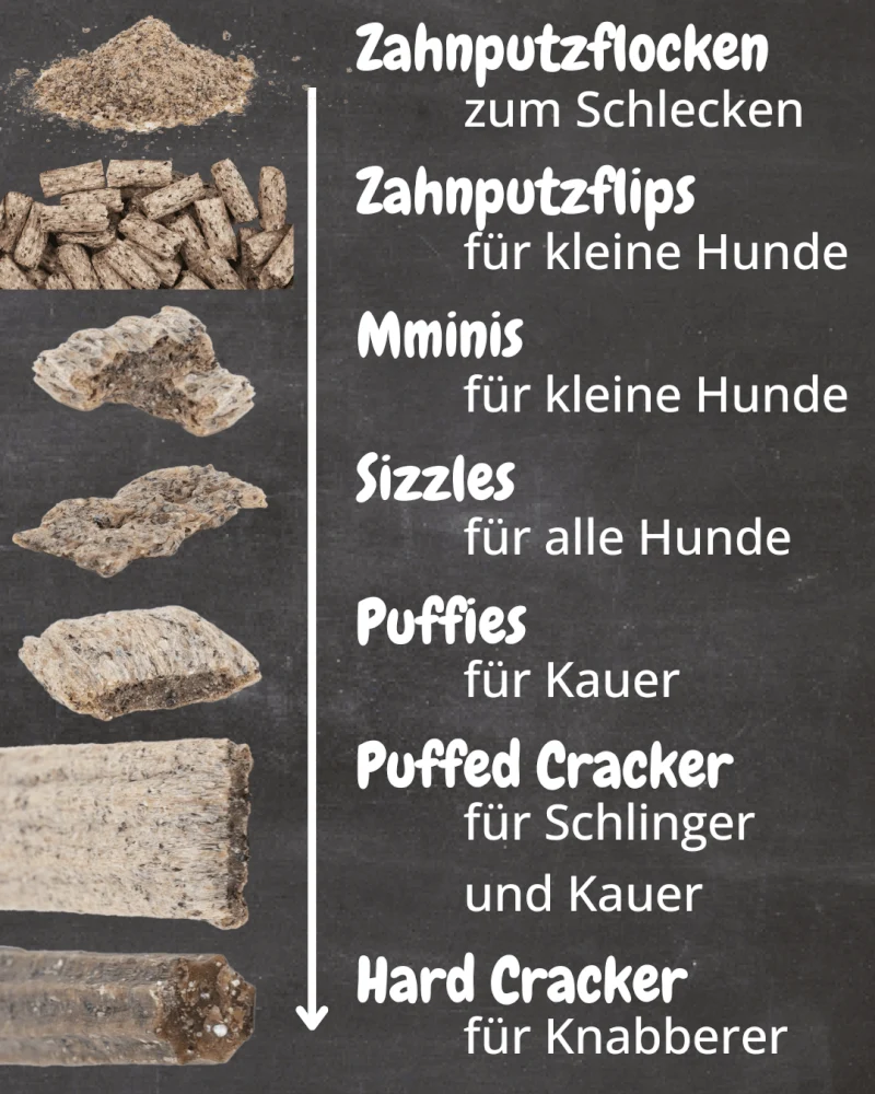 QCHEFS Zahnputzflips Hund