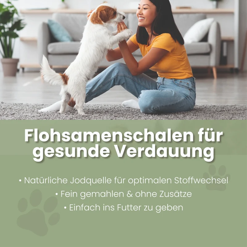 Flohsamenschalen gemahlen für Hunde