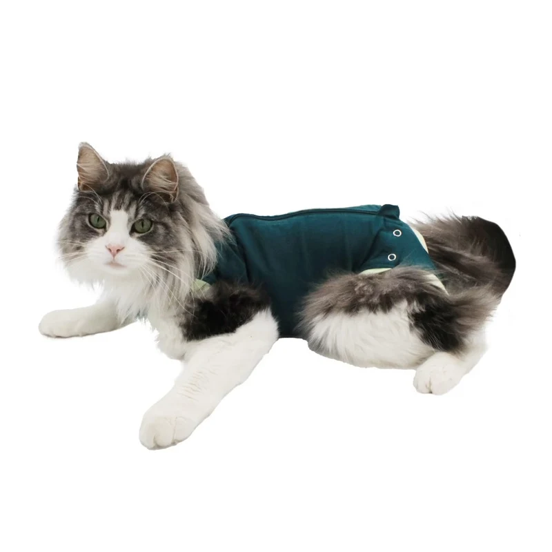 Vetnordic Schutzanzug / Body Katze
