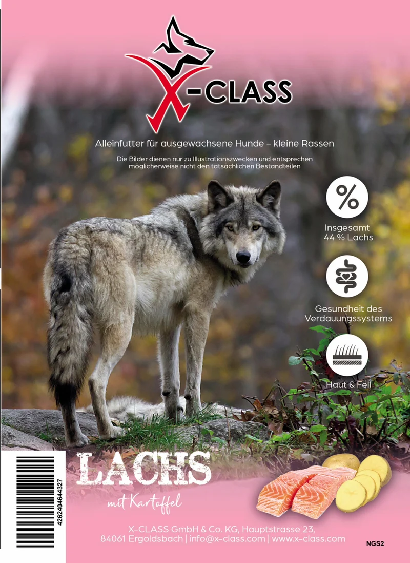 Lachs mit Kartoffel für ausgewachsene kleine Hunde