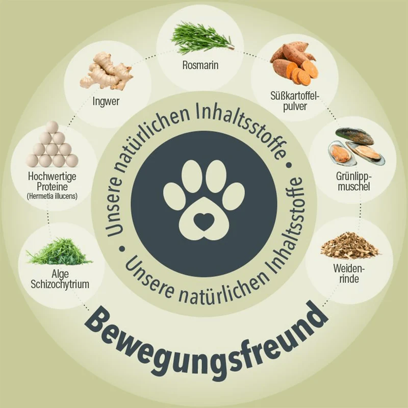 Bewegungsfreund Leckerlis für Hunde