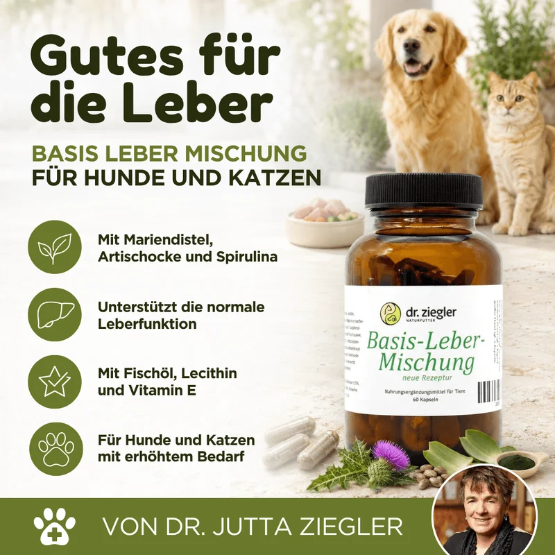 Basis Leber Mischung Kapseln für Hunde und Katzen