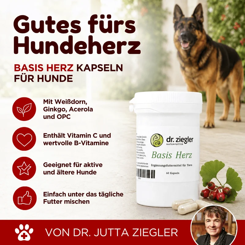 Basis Herz Kapseln für Hunde