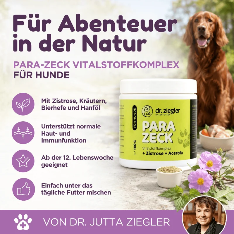 Para-Zeck für Hunde