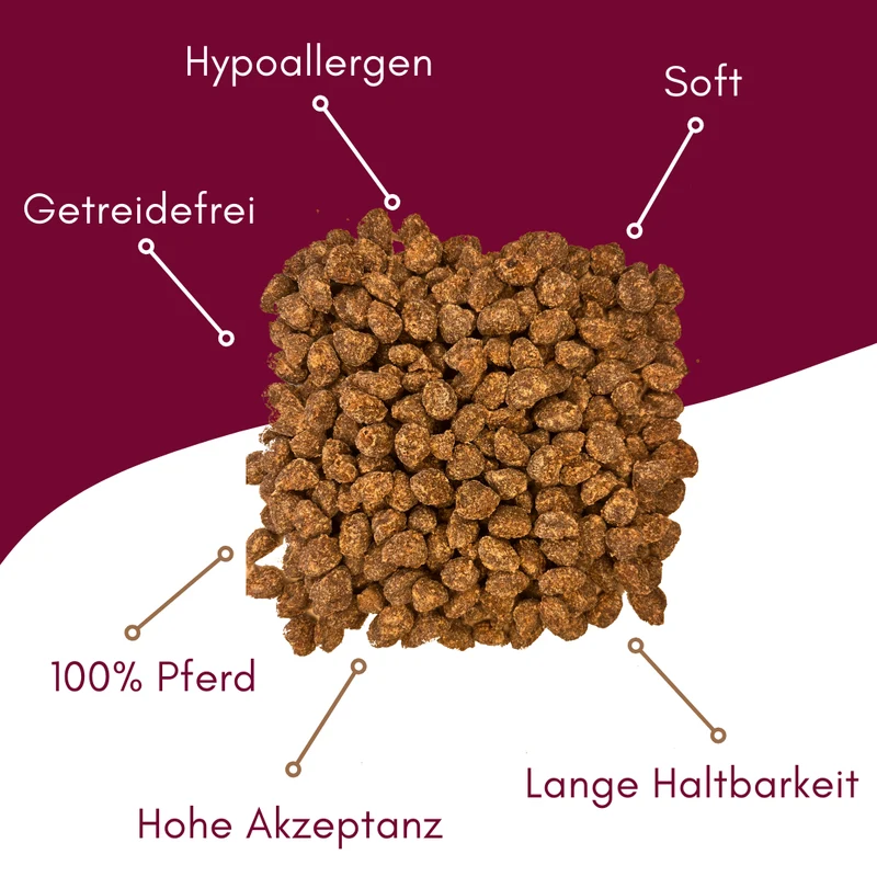 Húsos Pferd