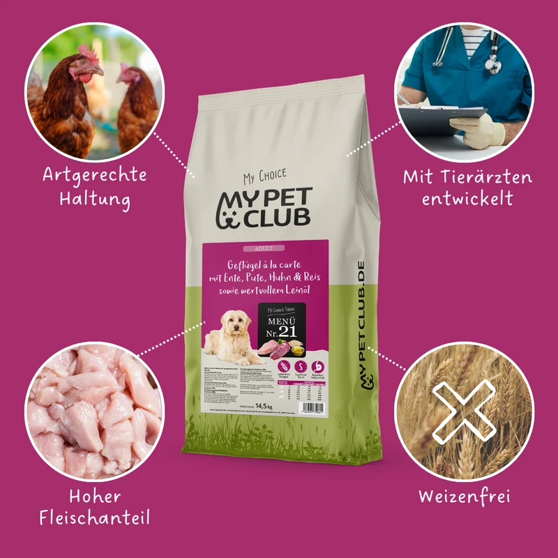 MyPetClub-Gläichgewiicht
