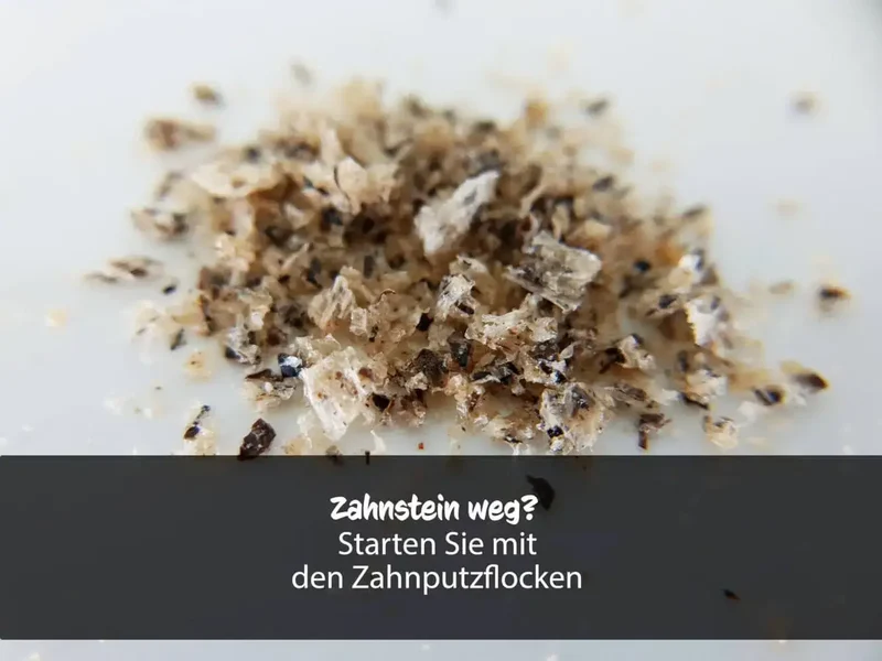 QCHEFS Zahnputzflocken Hund