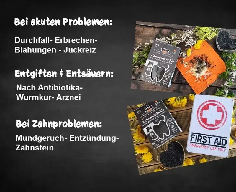 Zahnputzkohle Hund