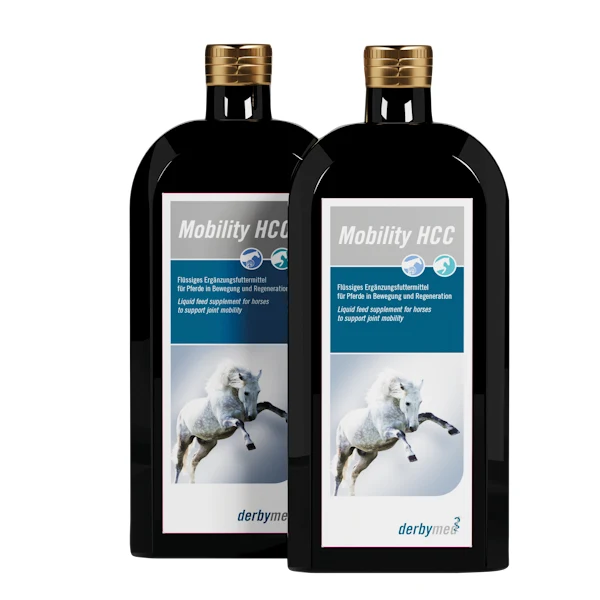 derbymed Mobility HCC 2x500ml