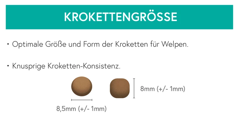 Getreidefrei Huhn mit Truthahn, Lachs, Süßkartoffel und Karotte für Welpen