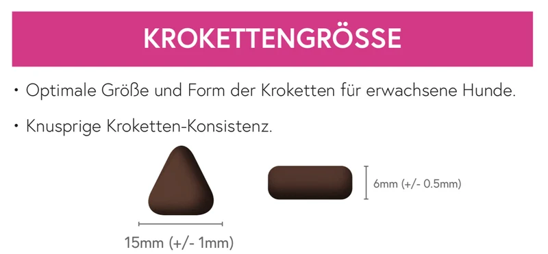 Superfood 65 Schottischer Lachs für ausgewachsene Hunde / light& senior