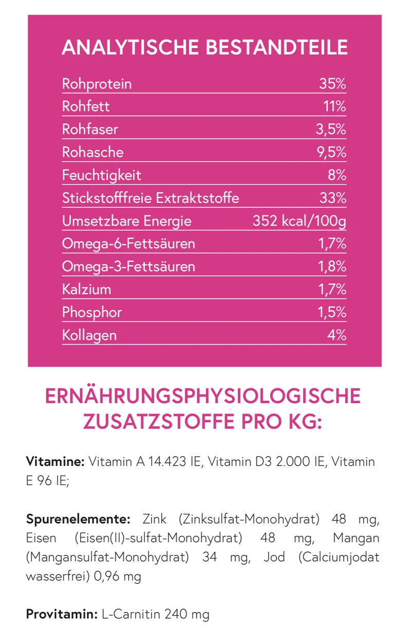 Superfood 65 Schottischer Lachs für ausgewachsene Hunde / light& senior