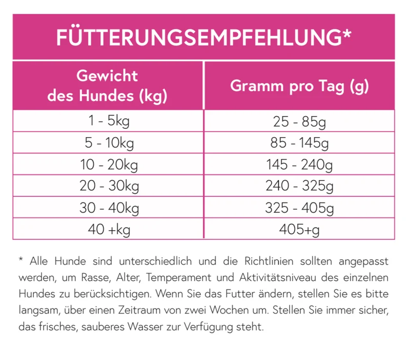 Superfood 65 Schottischer Lachs für ausgewachsene ältere Hunde / Senior
