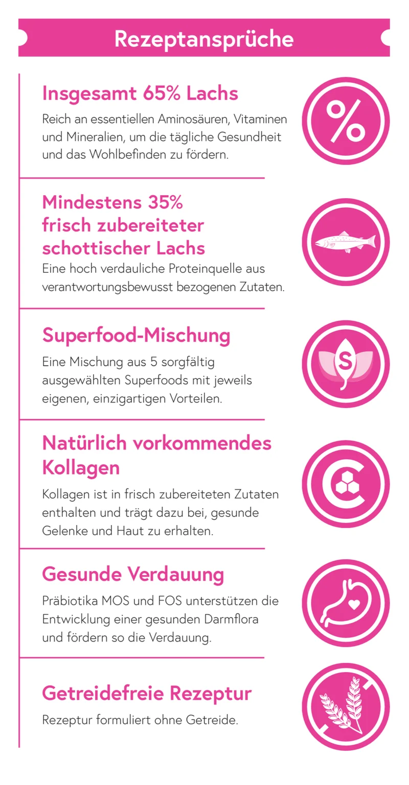 Superfood 65 Schottischer Lachs für ausgewachsene Hunde