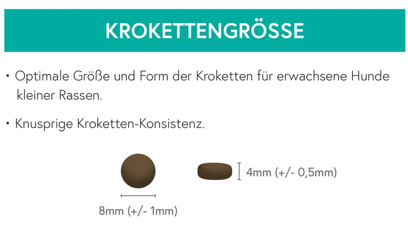 Getreidefrei Lamm mit Süßkartoffel und Minze für kleine Hunde