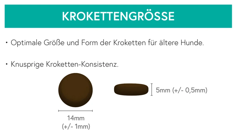 Getreidefrei Truthahn mit Süßkartoffel und Preiselbeere für ältere Hunde
