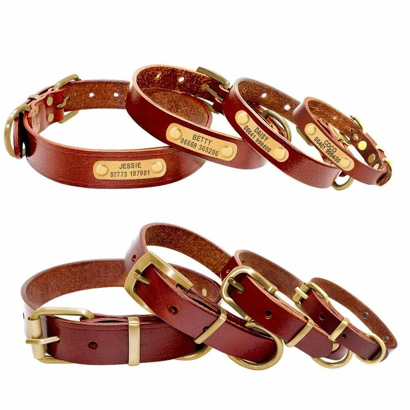 Leder Hundehalsband mit goldfarbener Marke, Gravur Name und Telefon