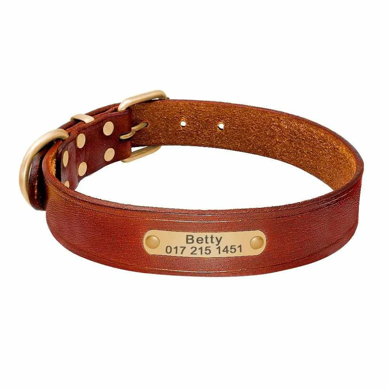 Leder Hundehalsband mit goldfarbener Marke, Gravur Name und Telefon