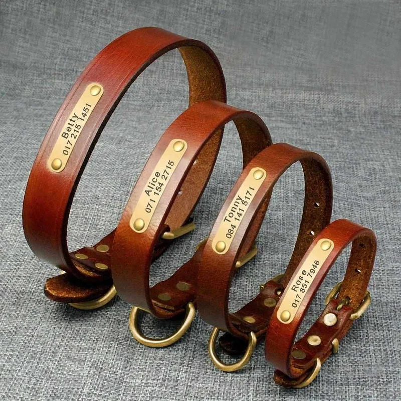 Leder Hundehalsband mit goldfarbener Marke, Gravur Name und Telefon
