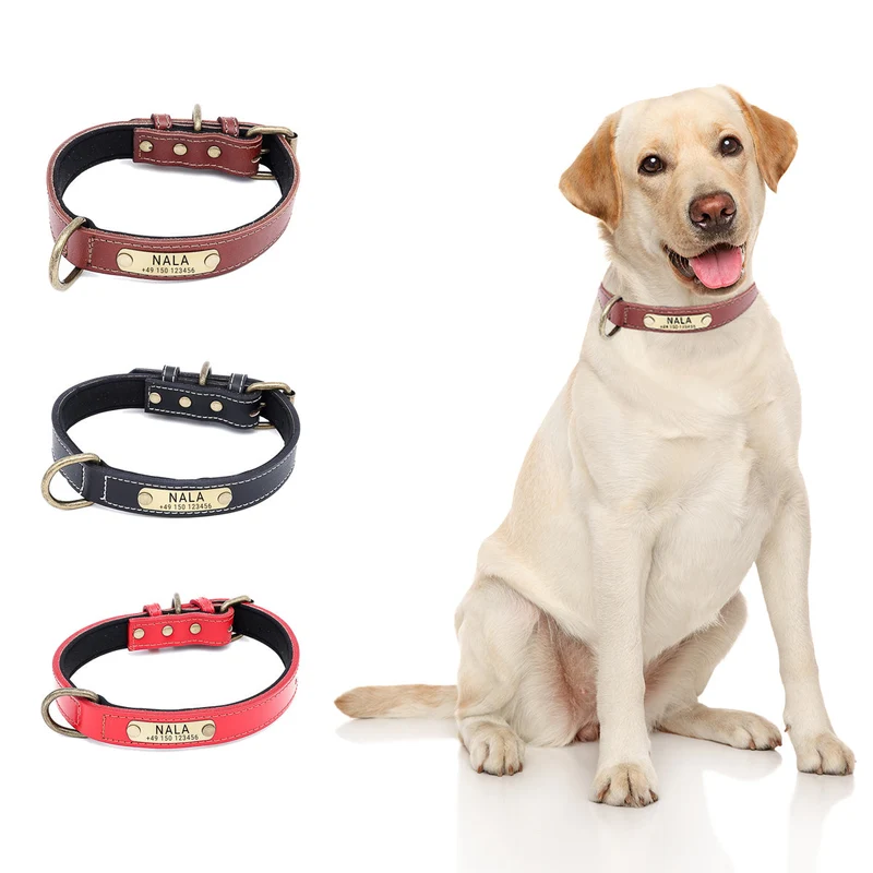 Hundehalsband mit Namen auf Messingschild aus hochwertigem Leder, Innenpolsterung aus Neopren, 2 masiv D-Ringe
