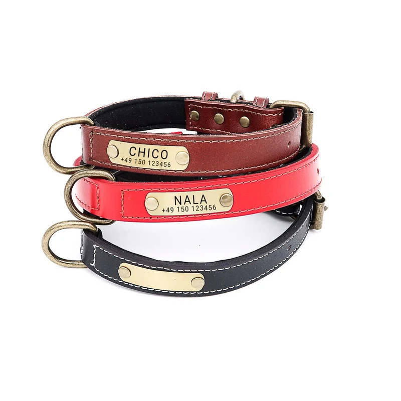 Hundehalsband mit Namen auf Messingschild aus hochwertigem Leder, Innenpolsterung aus Neopren, 2 masiv D-Ringe