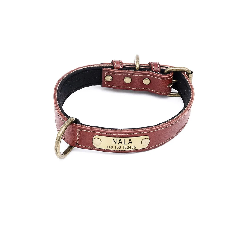 Hundehalsband mit Namen auf Messingschild aus hochwertigem Leder, Innenpolsterung aus Neopren, 2 masiv D-Ringe