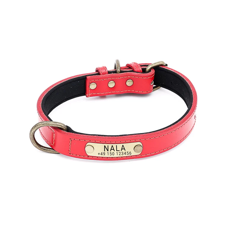 Hundehalsband mit Namen auf Messingschild aus hochwertigem Leder, Innenpolsterung aus Neopren, 2 masiv D-Ringe
