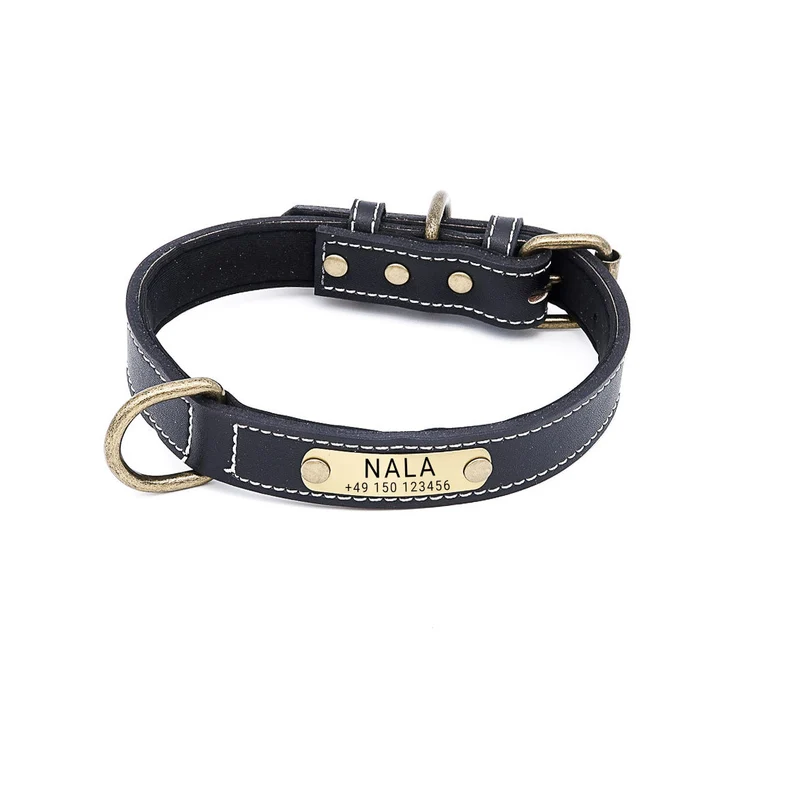 Hundehalsband mit Namen auf Messingschild aus hochwertigem Leder, Innenpolsterung aus Neopren, 2 masiv D-Ringe