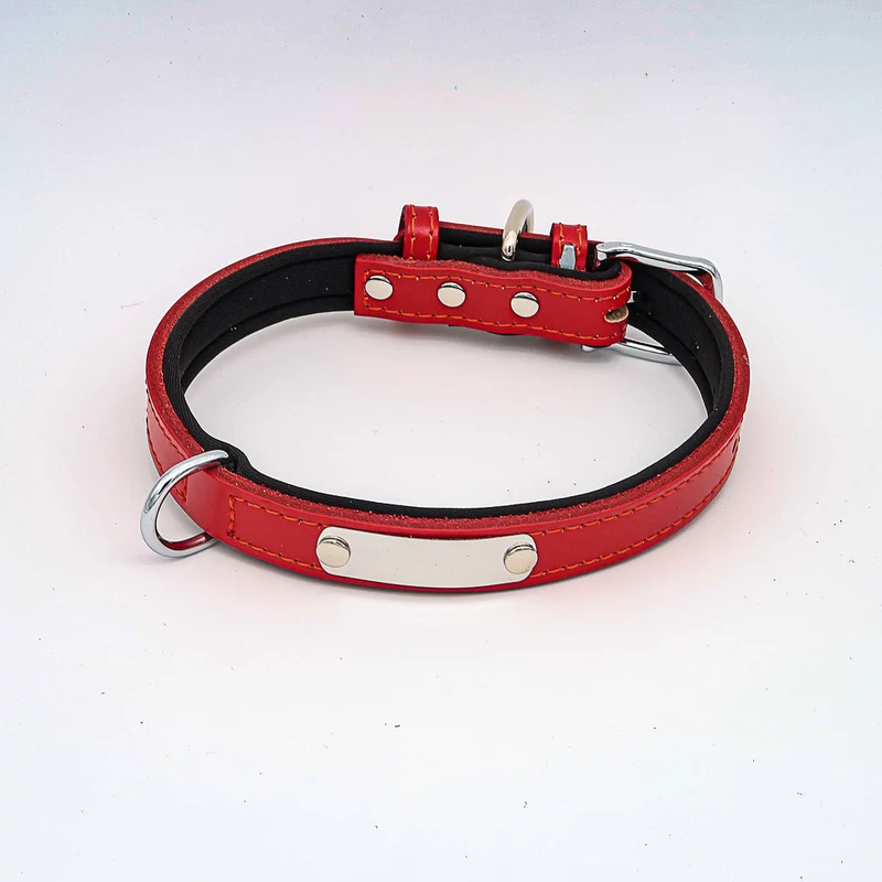 Hundehalsband mit Namen aus hochwertigem Leder, Innenpolsterung aus Neopren, 2 hatalmas D-gyűrű