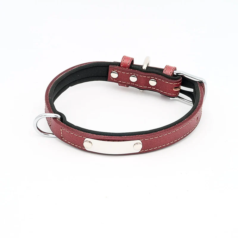 Hundehalsband mit Namen aus hochwertigem Leder, Innenpolsterung aus Neopren, 2 hatalmas D-gyűrű