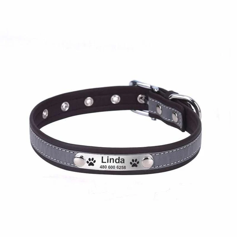 Hundehalsband mit Namen und Telefon graviert. Refleksyon