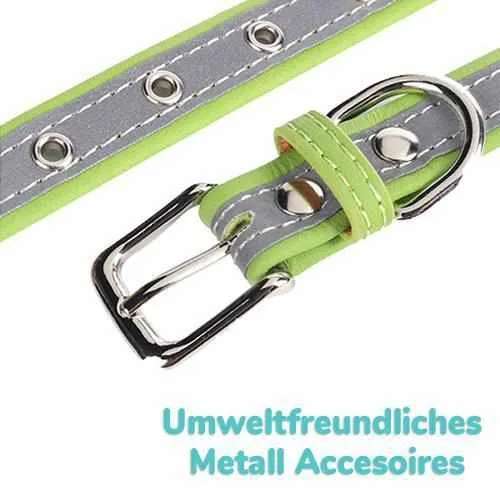 Hundehalsband mit Namen und Telefon graviert. Refleksyon