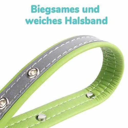 Hundehalsband mit Namen und Telefon graviert. Refleksyon