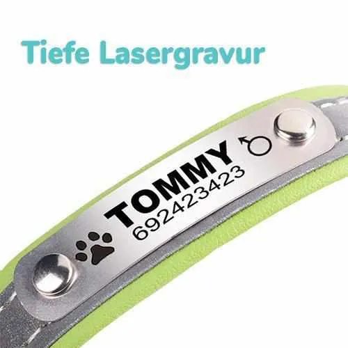 Hundehalsband mit Namen und Telefon graviert. Refleksyon