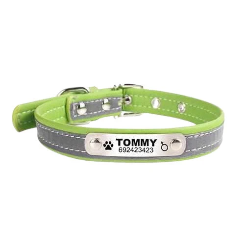 Hundehalsband mit Namen und Telefon graviert. Refleksyon