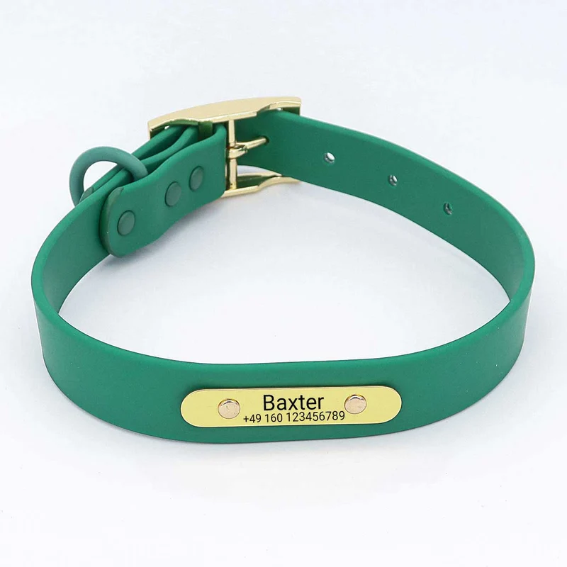 Wasserfestes Biothane Hundehalsband "Baxter" mit Gravur – Non & Telefonnummer – Deyò – Grün oder Schwarz – S, M, L