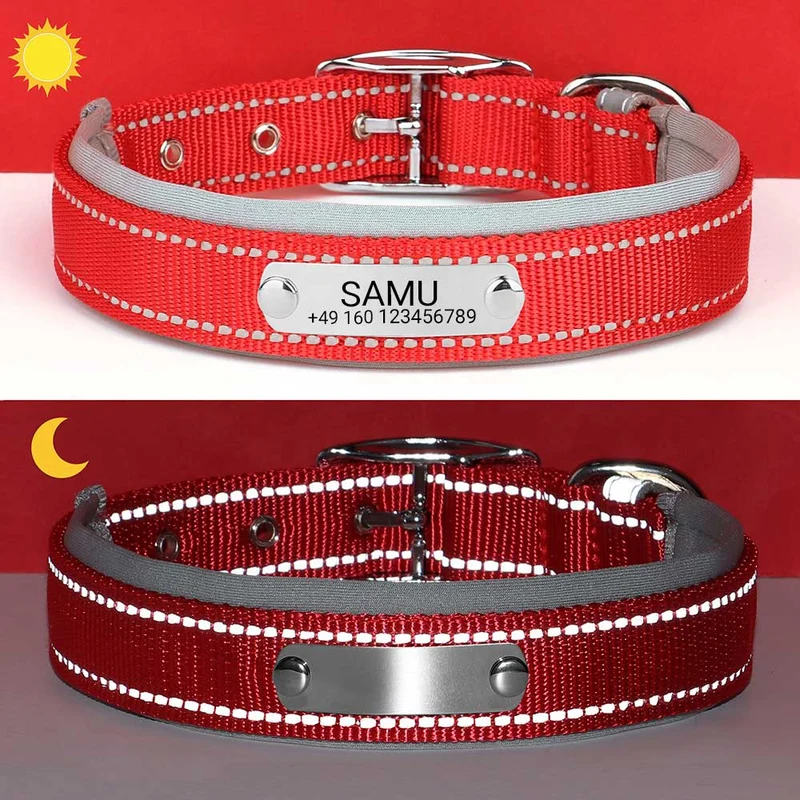 Graviertes Hundehalsband "Samu" mit Reflektor-Sicherheitsnähten. Personalisierung mit Name und Telefon