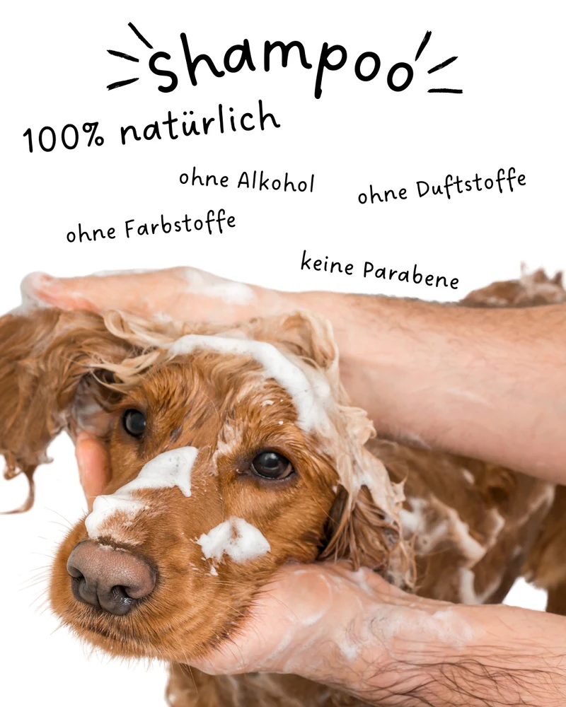 Riolino Shiny Fur sampon – Sanfte Pflege für glänzendes Fell
