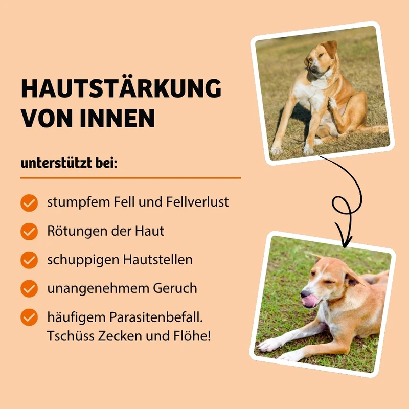 SkinHero-Paket
