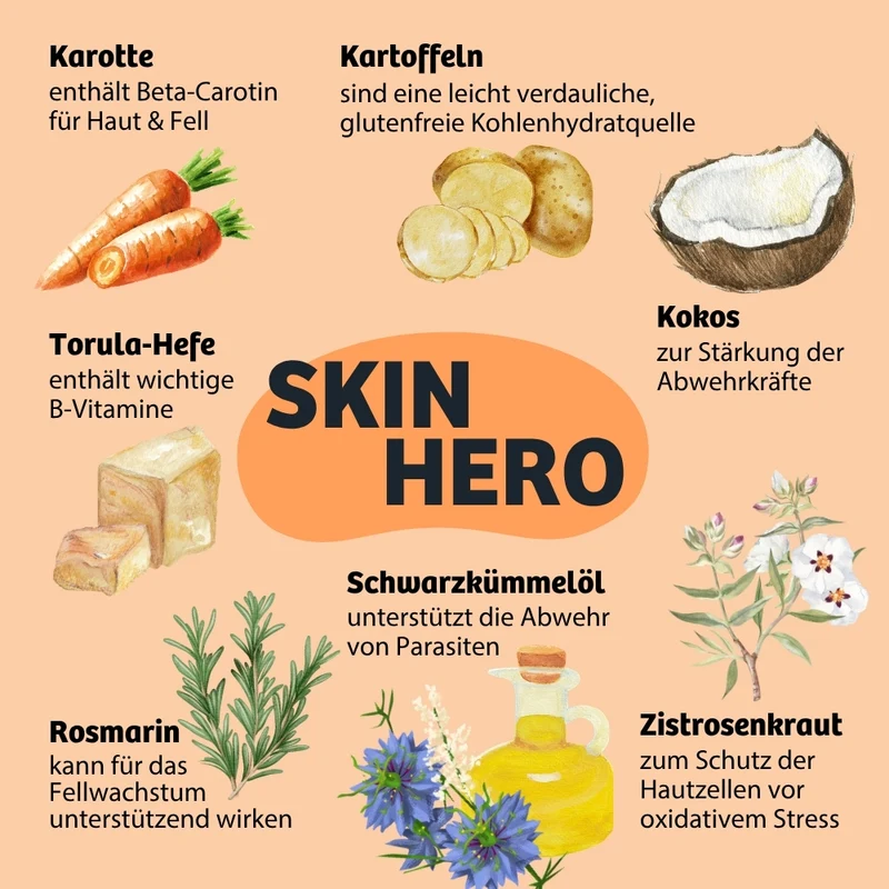 SkinHero-Paket