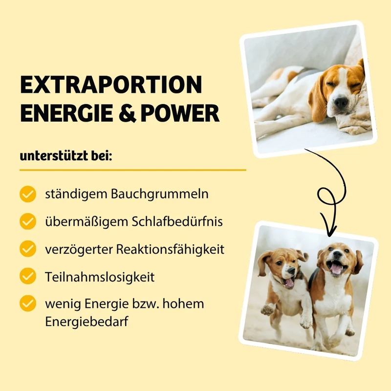 Weiche Hundeleckerli EnergyWonder - Ausdauer & Energie