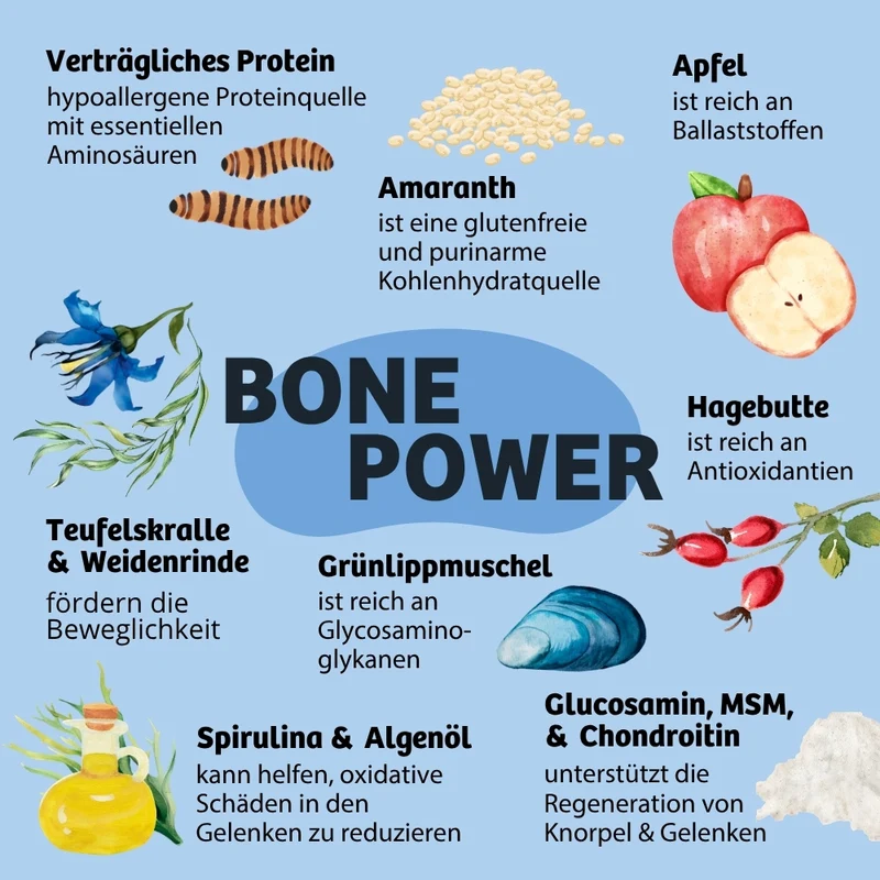 Weiche Hundeleckerli BonePower - Knochen & Gelenke