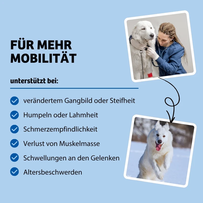 Trockenfutter BonePower - Knochen & Gelenke