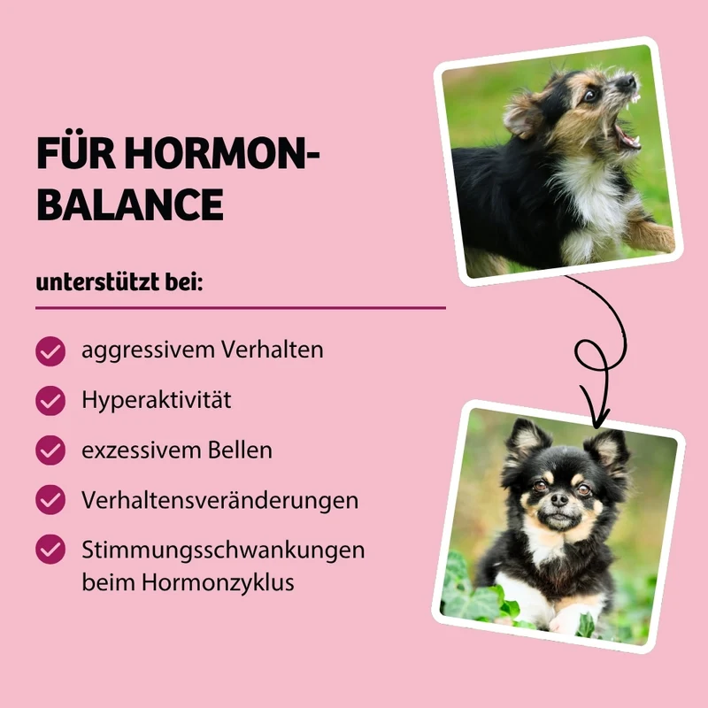 Nassfutter HappyMood - Hormonbalance & Zufriedenheit